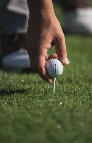 person holding white golf ball